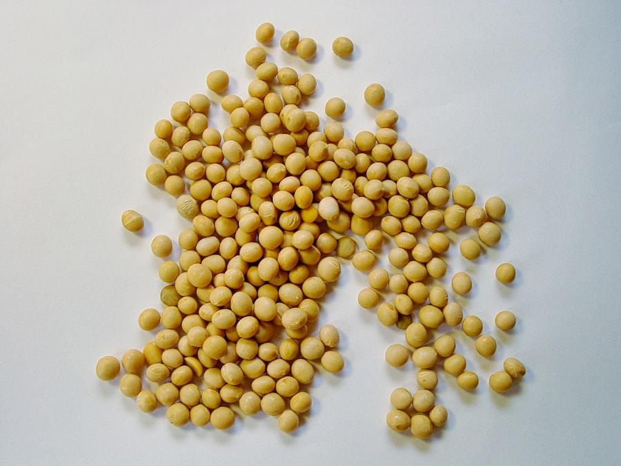 Graines de soja